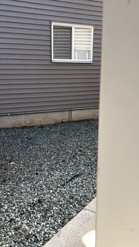 @maninizampuri🇨🇦🇨🇦