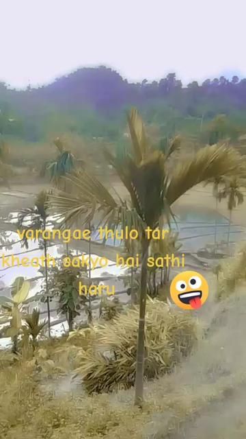 @Sapana Limbu