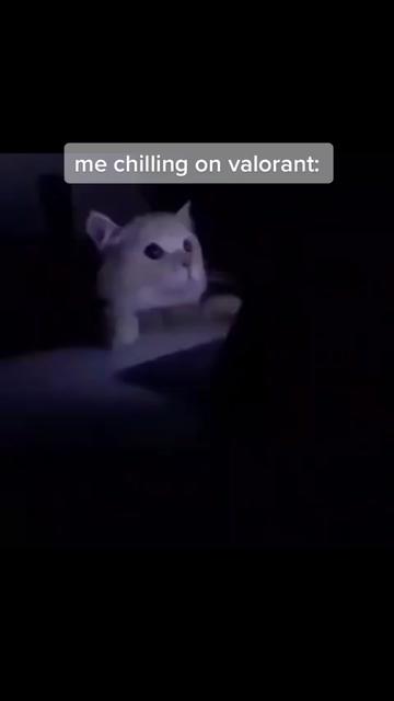 @miles