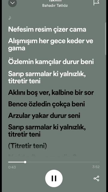 @spotifyy top