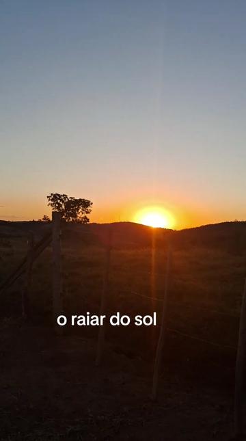 @Joana Morais