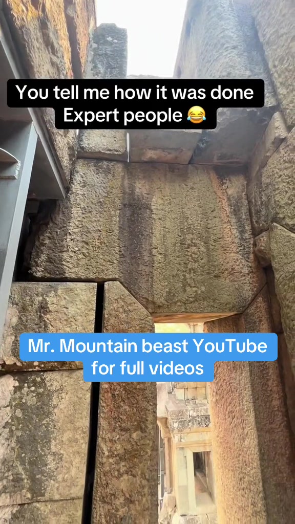 @Mr.mountainbeast