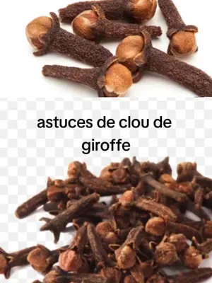 @Rituels d'affection rapide 🇧?