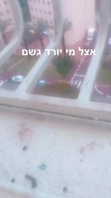 @taliya Biton