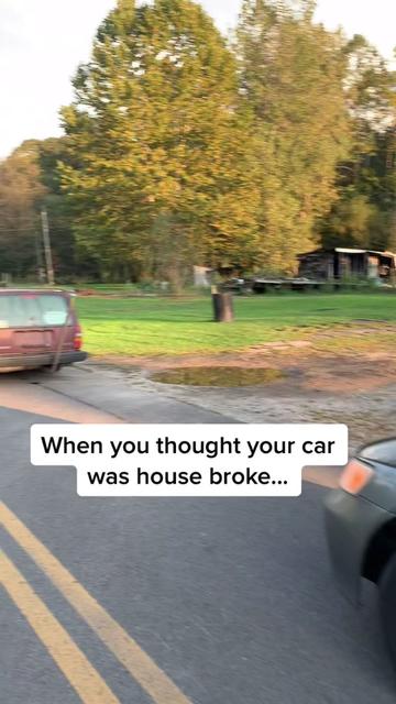 @240_dave