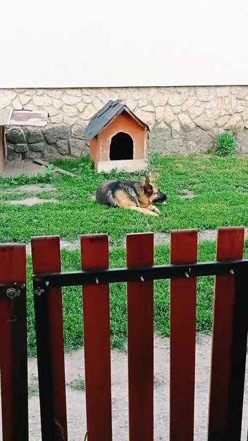@Tak&aacute;cs J&aacute;nos