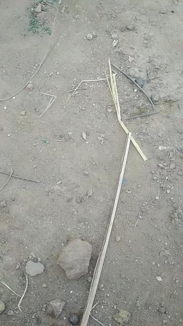 @Tanveer Kallimani
