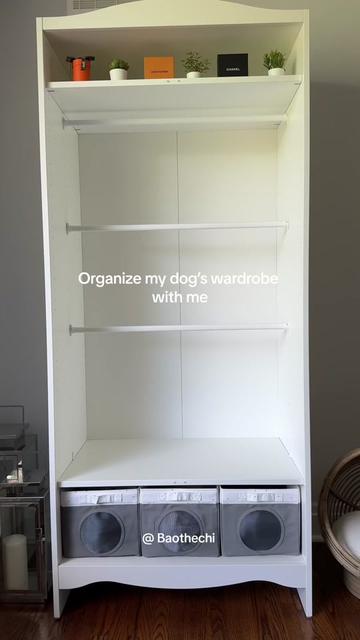 @Bao the Chihuahua