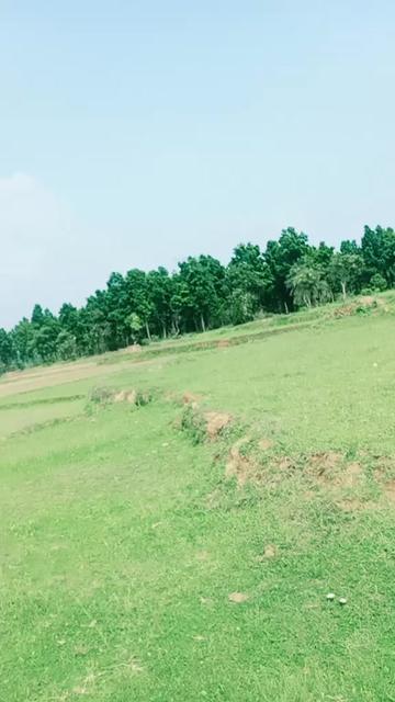 @singer Raja Jani