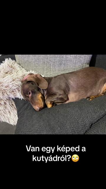 @Ágota