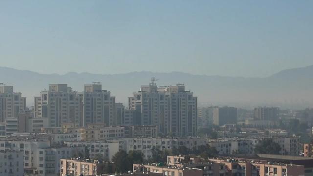 @goéland.dz