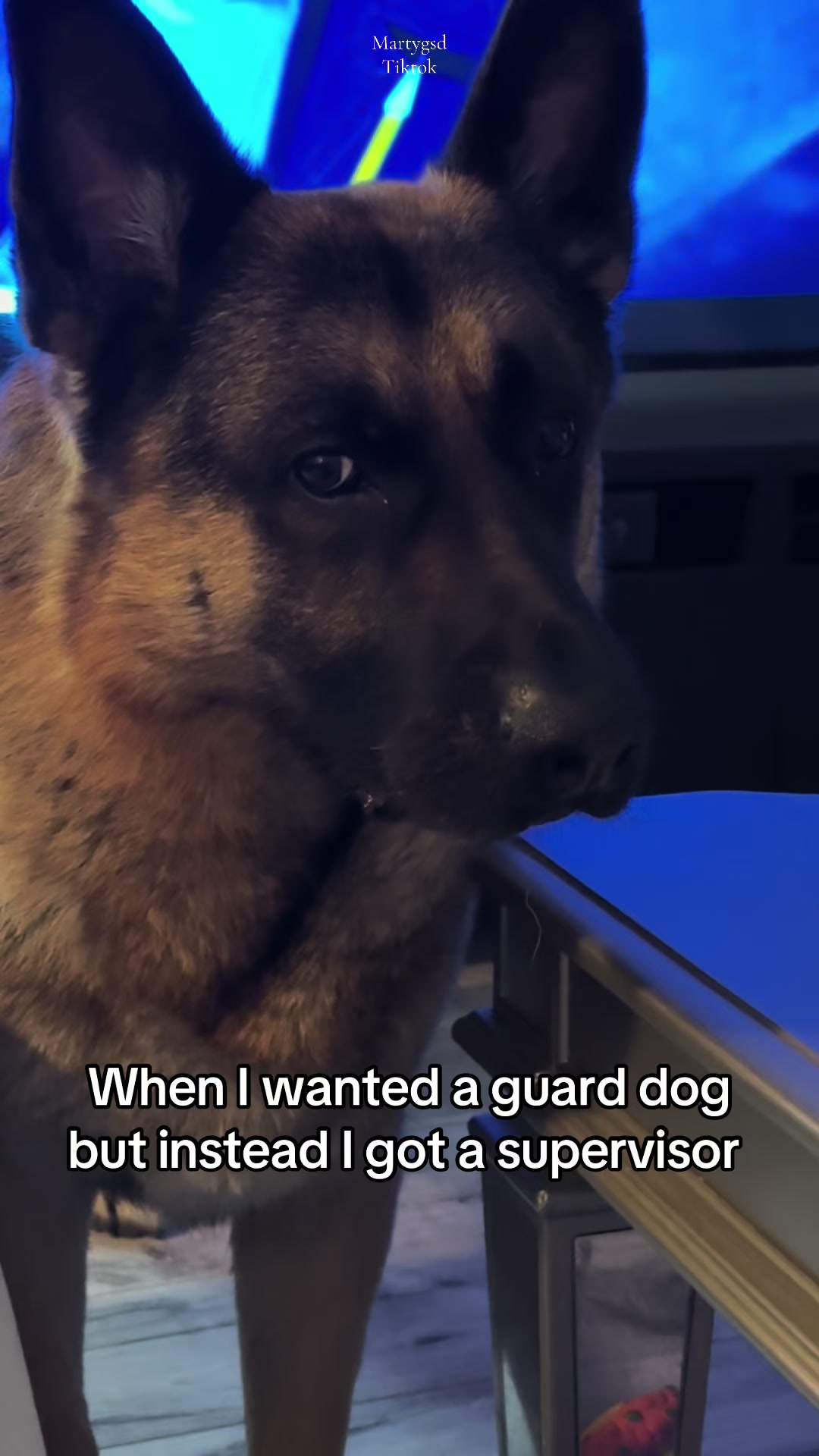 @Martygsd
