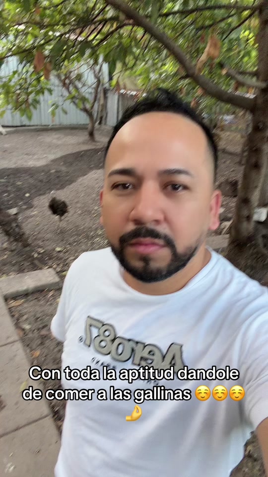 @Antonio 🐈🐈