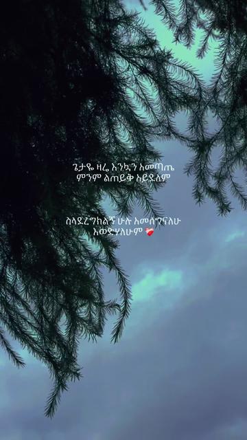 @𝐄𝐝𝐫𝐢𝐬 𝐄𝐥𝐢𝐚𝐬 🧠