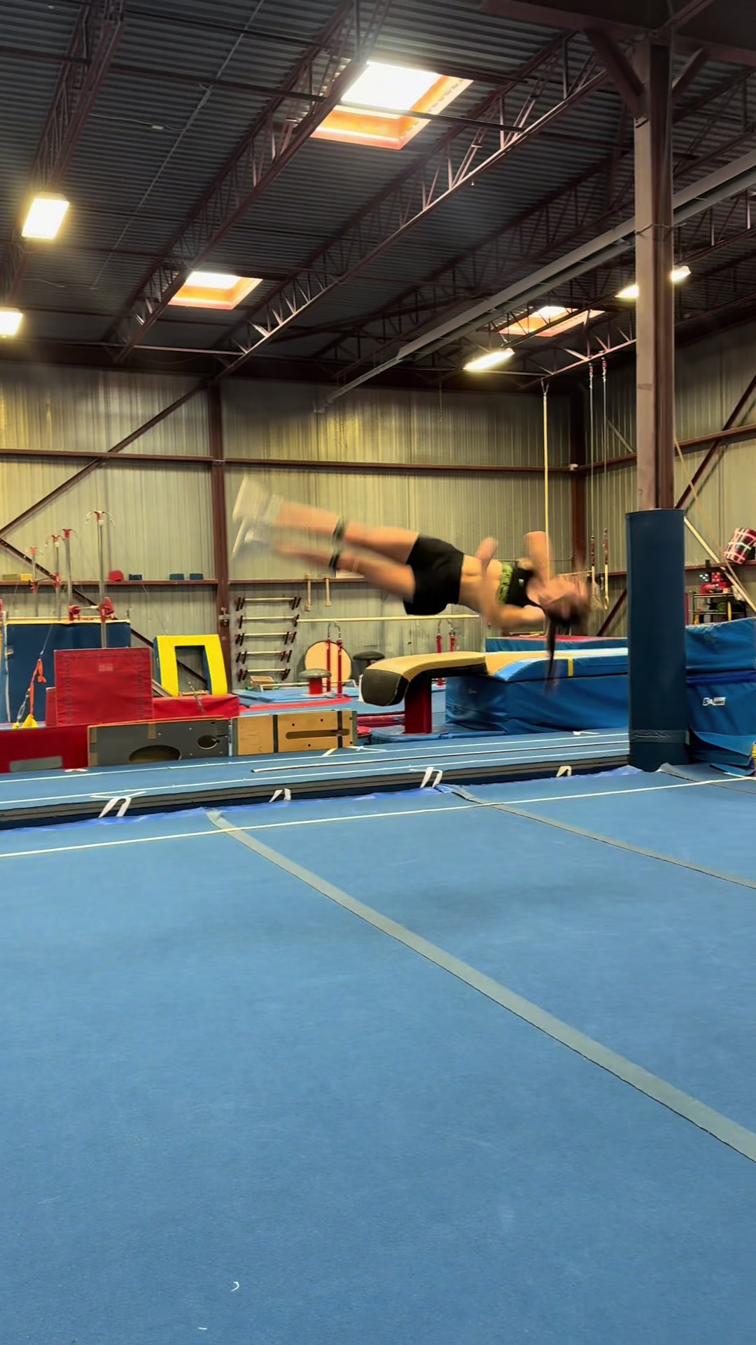 @Cali 🦈