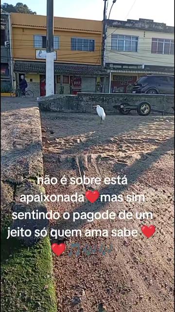 @Shirley Cristina