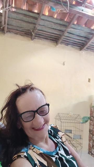 @dilzarodrigues657