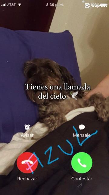 @Mariblueposa🦋