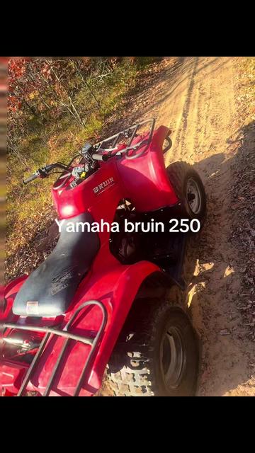 @dirtbike 300