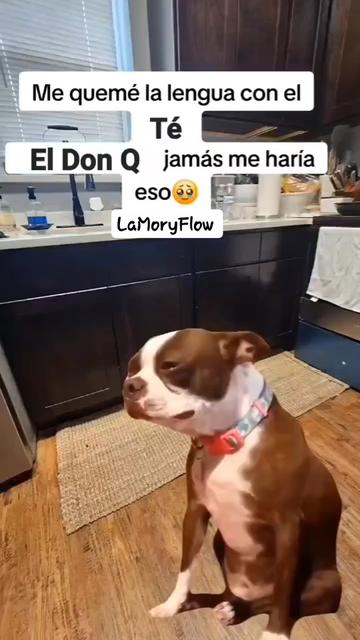 @La Mory