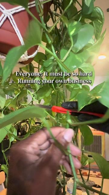 @plant_trappin
