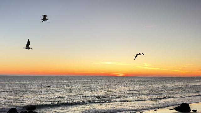 @Relaxing Ocean Sounds