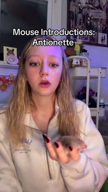 @thatweirdanimalgirl