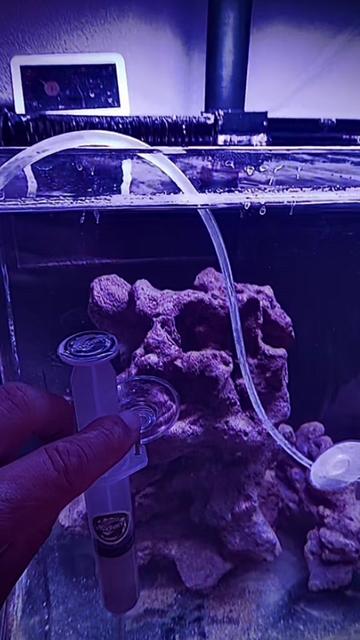@Tankmatez.com USA