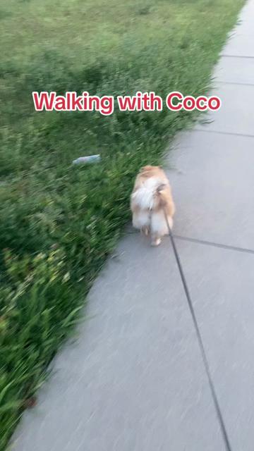 @chino_mexicano_88