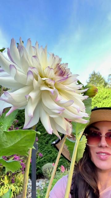 @Ava Dahlia 🇨🇦👩🌾✌️