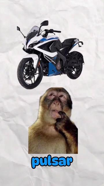 @racermotorsmx