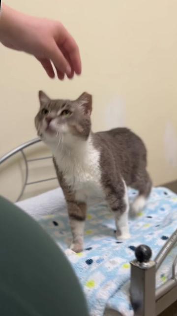 @Lynchburg Humane Society