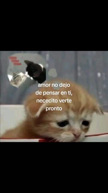 @cris ❄️