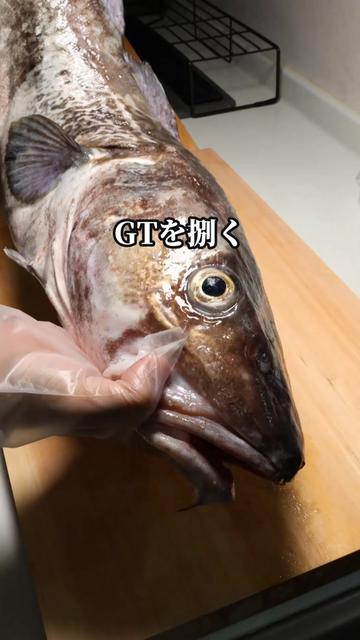 @セイゴ水産