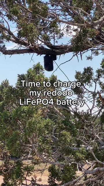@Scott@AZHighDesertHomestead