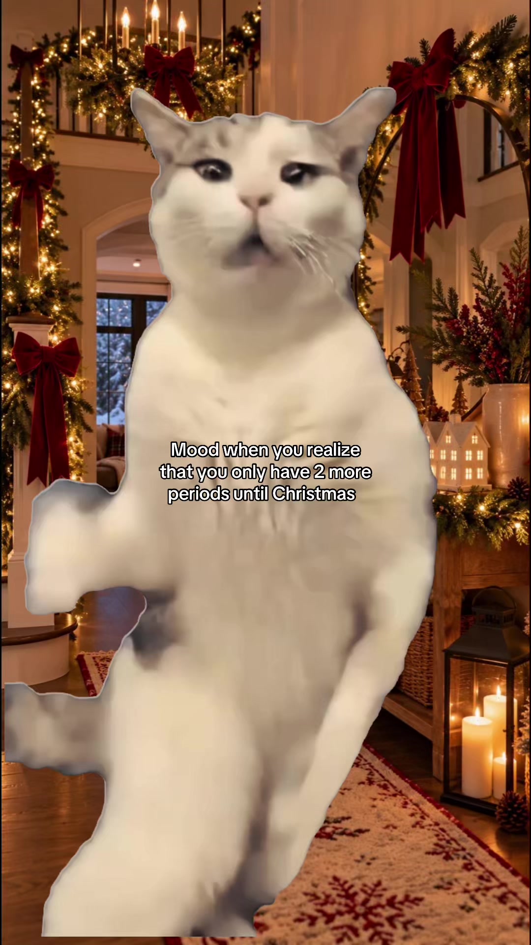 @🎄🎁❄️