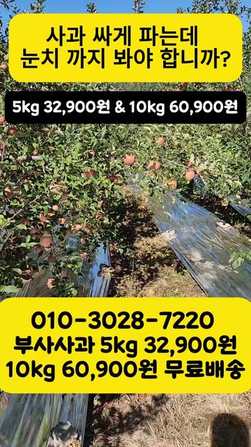 @프루트빌리지