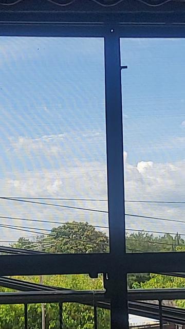 @Charly Pipiolo