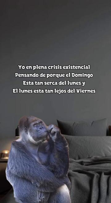 @💛🤎BonitaGirasol91