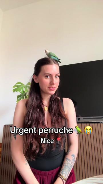 @Sarah AL