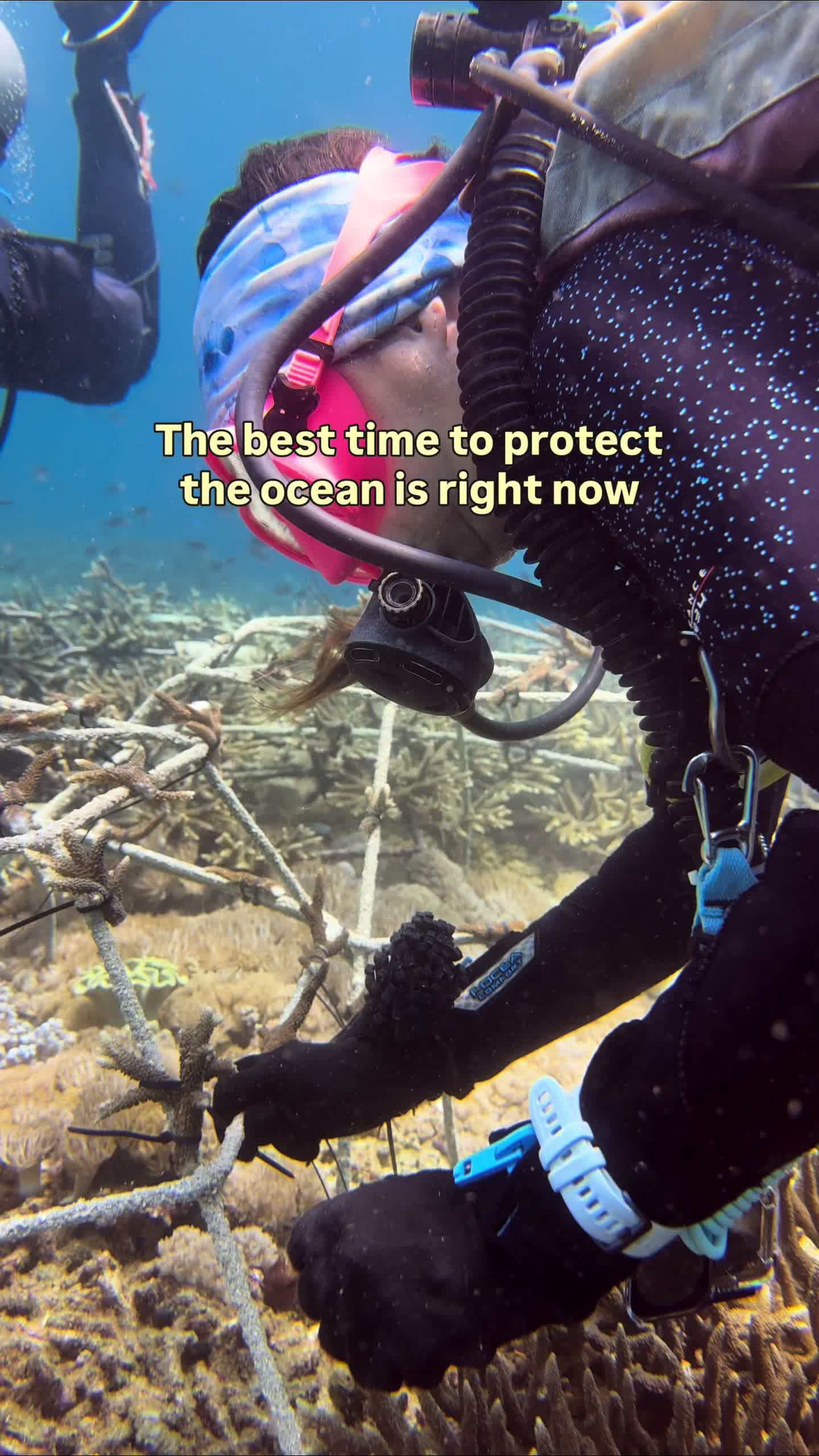 @The Dive Compass