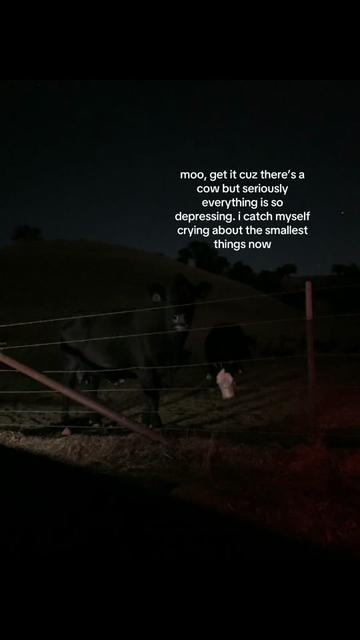 @user