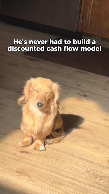 @Finance Bro