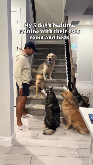 @Primalboi
