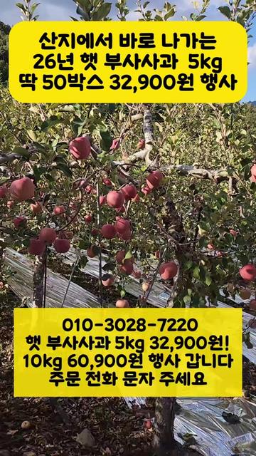 @프루트빌리지