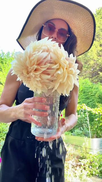 @Ava Dahlia 🇨🇦👩&zwj;🌾✌️