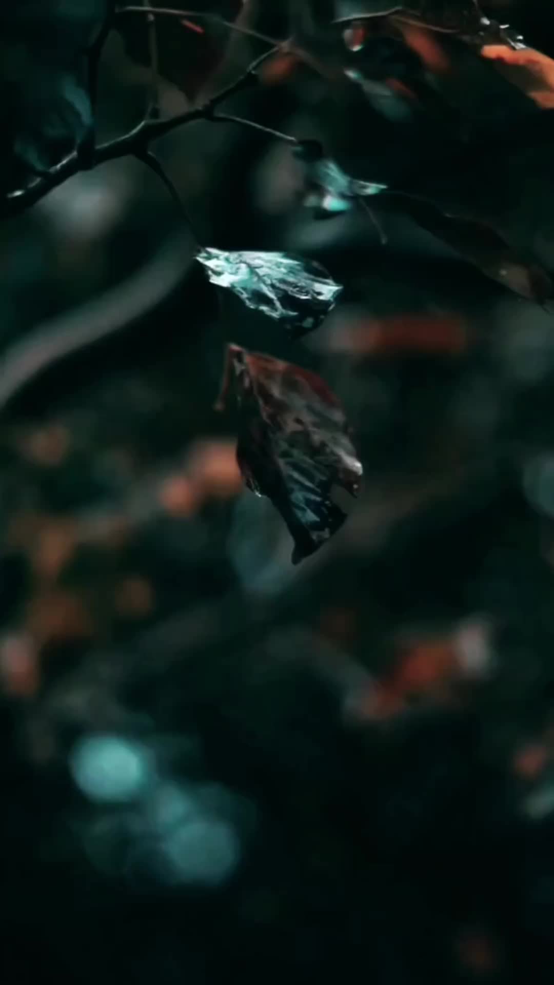 @000XXX