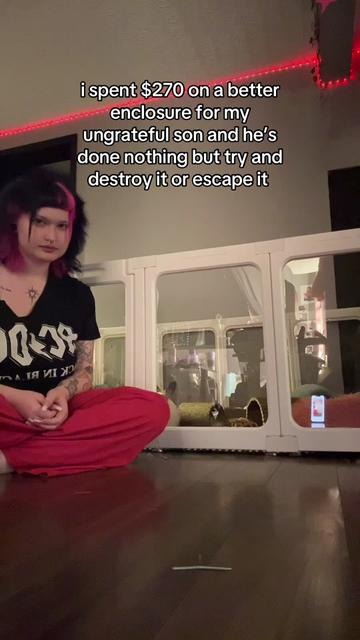 @the buice 🔻