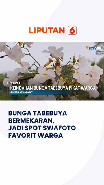 @Liputan6