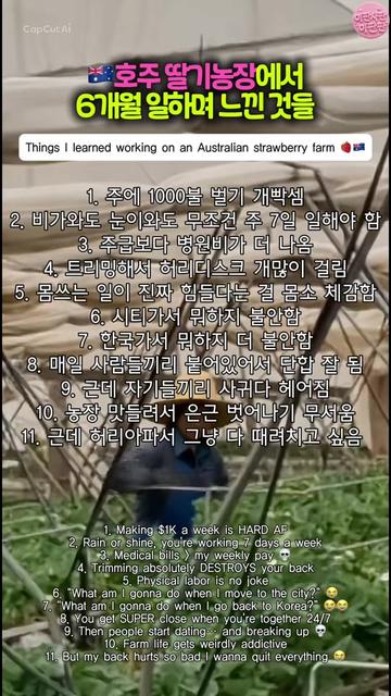 @이판판 Liupanpan
